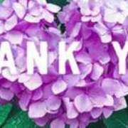 ヒメ日記 2025/07/01 15:48 投稿 もとこ 11チャンネル