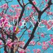 ヒメ日記 2025/07/08 10:59 投稿 もとこ 11チャンネル