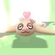 ヒメ日記 2025/12/30 15:59 投稿 もとこ 11チャンネル