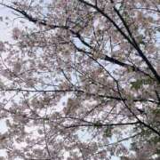 ヒメ日記 2026/04/04 21:45 投稿 もとこ 11チャンネル