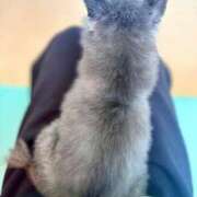 ヒメ日記 2026/04/13 23:05 投稿 もとこ 11チャンネル