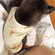 もとこ おそろ👩🏼🐻 11チャンネル