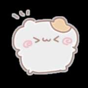 ヒメ日記 2026/05/02 20:56 投稿 もとこ 11チャンネル
