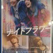 白木 ツリーの写真を撮るのが好き ミセスの手ほどき