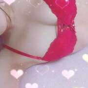 ヒメ日記 2025/07/01 10:16 投稿 れん 横浜ひよこ倶楽部