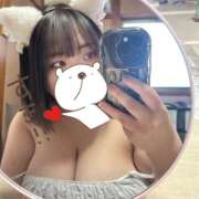 ヒメ日記 2026/01/16 13:57 投稿 あかり 鎌倉御殿 新館