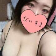 ヒメ日記 2026/02/04 20:21 投稿 あかり 鎌倉御殿 新館