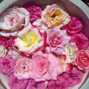 ヒメ日記 2025/05/28 15:03 投稿 あけみ 妻みぐい