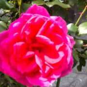 ヒメ日記 2025/06/06 09:16 投稿 あけみ 妻みぐい