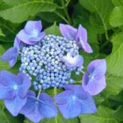 ヒメ日記 2025/06/07 18:05 投稿 あけみ 妻みぐい