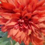 ヒメ日記 2025/09/29 08:10 投稿 あけみ 妻みぐい