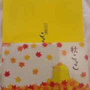 ヒメ日記 2025/10/10 08:09 投稿 あけみ 妻みぐい