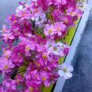 あけみ 豪華な割り引きのお知らせ 妻みぐい