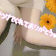 ヒメ日記 2025/07/14 23:14 投稿 れいら 濃厚即19妻