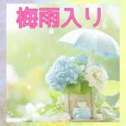ヒメ日記 2025/06/08 14:45 投稿 風岡あゆみ(かぜおかあゆみ) 九州熟女　八代店