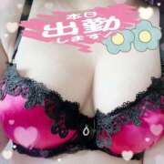 ヒメ日記 2025/06/20 12:45 投稿 風岡あゆみ(かぜおかあゆみ) 九州熟女　八代店