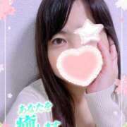 ヒメ日記 2025/11/15 11:05 投稿 風岡あゆみ(かぜおかあゆみ) 九州熟女　八代店