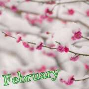 風岡あゆみ(かぜおかあゆみ) 2月★ 九州熟女　八代店