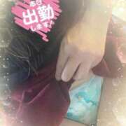 ヒメ日記 2026/03/13 12:45 投稿 風岡あゆみ(かぜおかあゆみ) 九州熟女　八代店