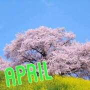 ヒメ日記 2026/04/01 17:25 投稿 風岡あゆみ(かぜおかあゆみ) 九州熟女　八代店