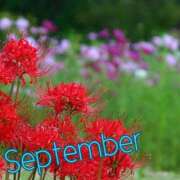 ヒメ日記 2026/09/01 19:37 投稿 風岡あゆみ(かぜおかあゆみ) 九州熟女　八代店
