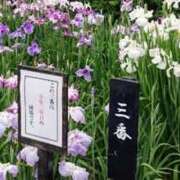 ヒメ日記 2025/05/26 20:55 投稿 沖田 華恋人(カレント)