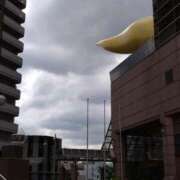 ヒメ日記 2025/09/21 08:21 投稿 沖田 華恋人(カレント)