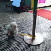 ヒメ日記 2025/10/03 17:30 投稿 沖田 華恋人(カレント)