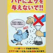 ヒメ日記 2025/10/26 16:43 投稿 沖田 華恋人(カレント)