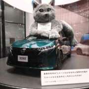 ヒメ日記 2025/11/29 23:48 投稿 沖田 華恋人(カレント)