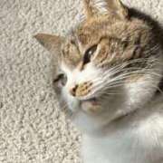 ヒメ日記 2026/03/16 23:36 投稿 沖田 華恋人(カレント)