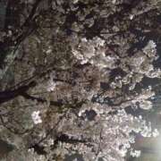 ヒメ日記 2026/03/31 14:40 投稿 沖田 華恋人(カレント)