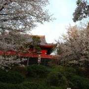 ヒメ日記 2026/04/03 20:54 投稿 沖田 華恋人(カレント)