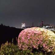 ヒメ日記 2026/04/26 00:23 投稿 沖田 華恋人(カレント)