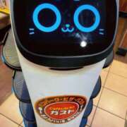 ヒメ日記 2025/06/26 09:21 投稿 ハル秘書 秘書の品格 クラブアッシュ ヴァリエ