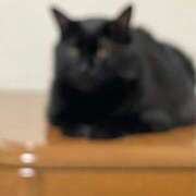 ヒメ日記 2025/07/23 23:04 投稿 ハル秘書 秘書の品格 クラブアッシュ ヴァリエ