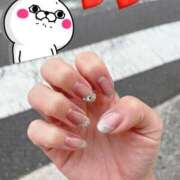 ヒメ日記 2025/08/08 08:58 投稿 ハル秘書 秘書の品格 クラブアッシュ ヴァリエ