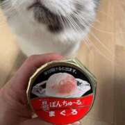 ヒメ日記 2025/09/10 08:18 投稿 ハル秘書 秘書の品格 クラブアッシュ ヴァリエ