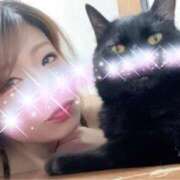 ヒメ日記 2025/09/30 07:52 投稿 ハル秘書 秘書の品格 クラブアッシュ ヴァリエ