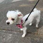 ヒメ日記 2025/07/14 11:05 投稿 まいか 性腺熟女100％（デリヘル市場）