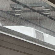 ヒメ日記 2025/07/15 11:12 投稿 まいか 性腺熟女100％鶯谷（デリヘル市場）