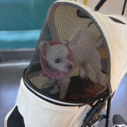 ヒメ日記 2025/08/14 12:49 投稿 まいか 性腺熟女100％鶯谷（デリヘル市場）