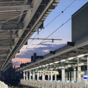 ヒメ日記 2025/08/17 04:42 投稿 まいか 性腺熟女100％鶯谷（デリヘル市場）