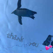 ヒメ日記 2025/06/15 12:25 投稿 ひなた 奥鉄オクテツ神奈川店（デリヘル市場グループ）