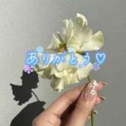 ヒメ日記 2025/07/29 20:37 投稿 じゅり 人妻小旅行