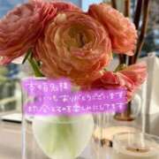 ヒメ日記 2025/10/16 16:03 投稿 じゅり 人妻小旅行