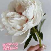 ヒメ日記 2025/11/02 11:57 投稿 じゅり 人妻小旅行