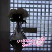 ヒメ日記 2025/11/06 07:47 投稿 じゅり 人妻小旅行