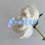 ヒメ日記 2025/11/12 19:47 投稿 じゅり 人妻小旅行