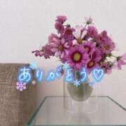 ヒメ日記 2025/12/02 19:57 投稿 じゅり 人妻小旅行